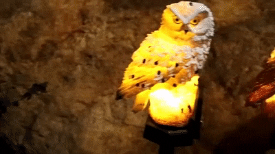 Lampe solaire hibou jardin
