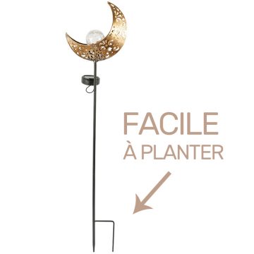 lampe solaire lune à palnter