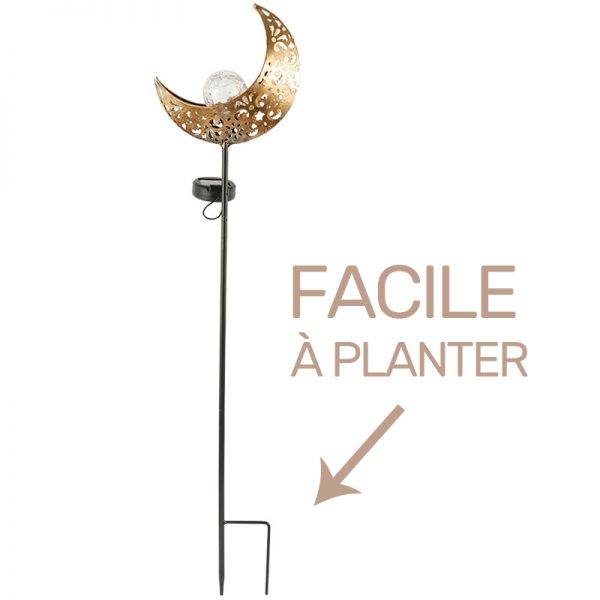 lampe solaire lune à palnter