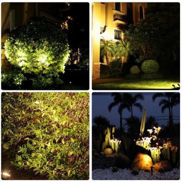 spot solaire arbre eclairage