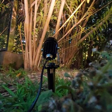 spot solaire arbre jardin