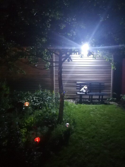 LED