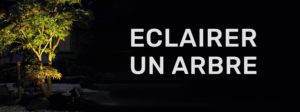 éclairer un arbre