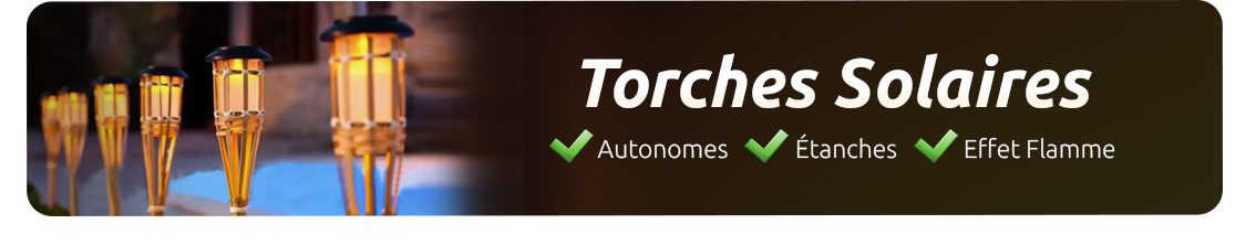 torche solaire realiste