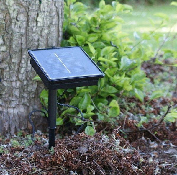 guirlande solaire lierre jardin